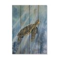 Wile E. Wood 14 x 20 in. Bartholets Sea Turtle Wood Art DBST-1420